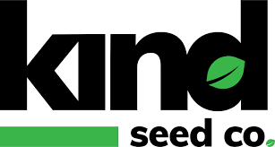 Discover the Best Marijuana Seeds Florida Has to Offer