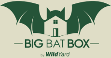 Big Bat Box