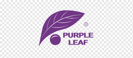 Purple Leaf