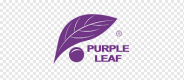 Purple Leaf